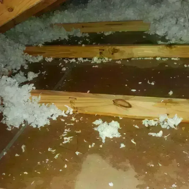 Attic Water Damage in Kailua-Kona, HI